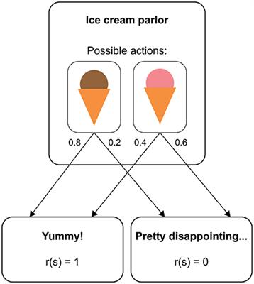 Developmental Changes in Learning: Computational Mechanisms and <mark class="highlighted">Social Influences</mark>